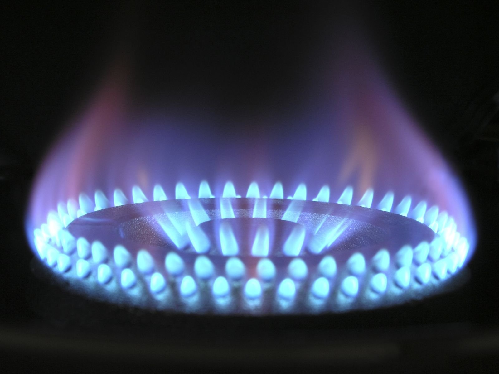 Blue gas burner flame, like the one inside a high-efficiency furnace